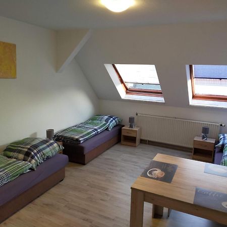Flex Aparts - Grosse, Moeblierte Wohnung In Zwickau Mit 2 Zimmern Esterno foto