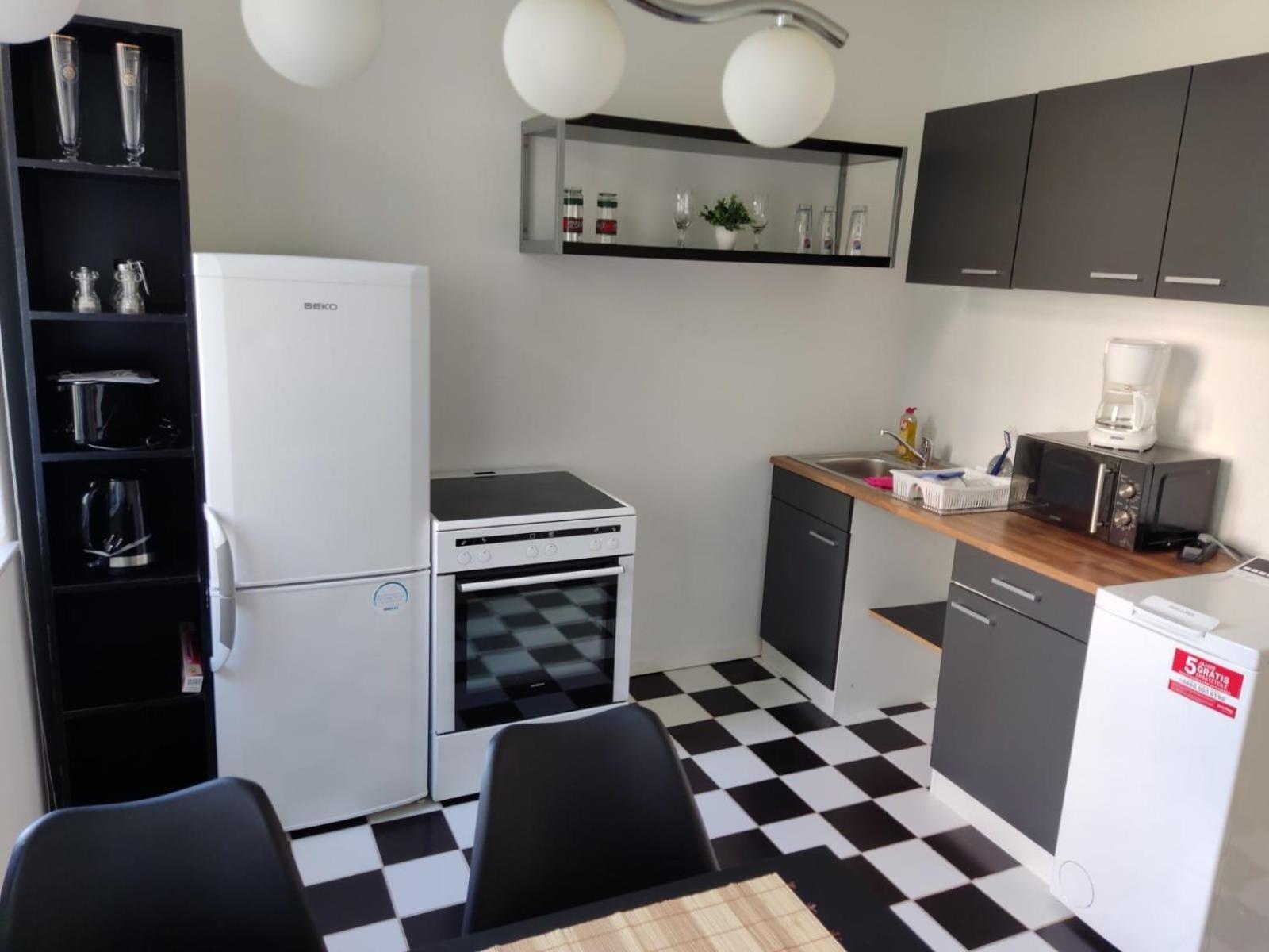 Flex Aparts - Grosse, Moeblierte Wohnung In Zwickau Mit 2 Zimmern Esterno foto
